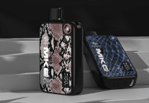 Are Disposable Vapes Redefining Convenience in Vaping?