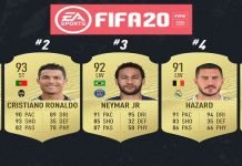 How To Choose the Best Nylon Training Collar for Your Dog